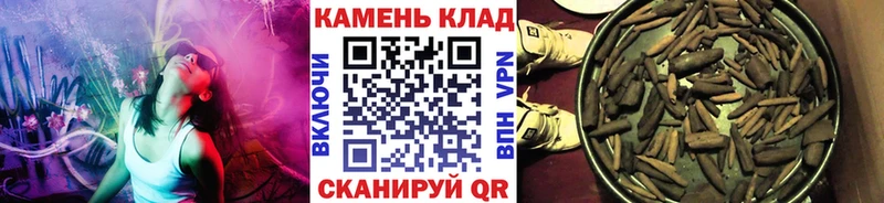 хочу наркоту  Звенигород  ГАШИШ Premium 