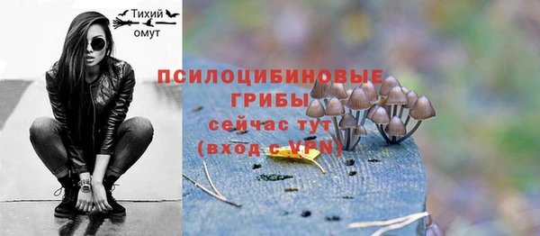 хмурый Михайлов