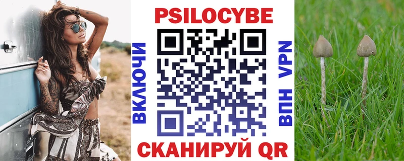 Псилоцибиновые грибы Psilocybine cubensis  наркошоп  Звенигород 