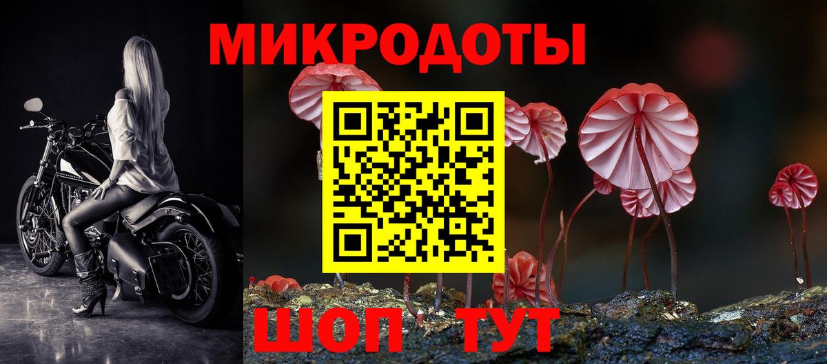 Галлюциногенные грибы Cubensis Звенигород