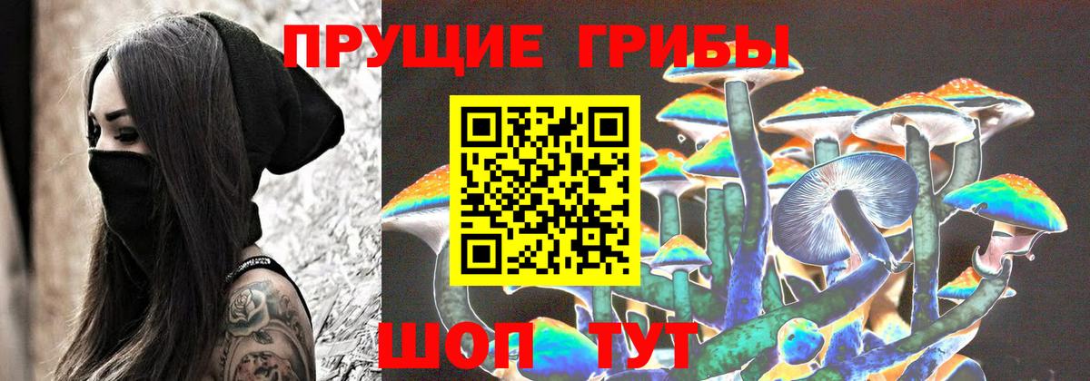Галлюциногенные грибы MAGIC MUSHROOMS  Псилоцибиновые грибы прущие грибы  Звенигород  Вход с VPN 